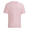 Officiële Voetbalshirt Nigeria 2024 Roze - Heren